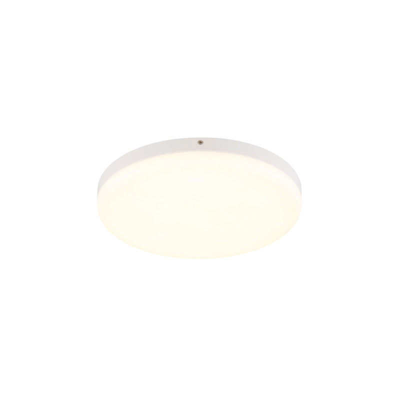 Globo 12387-24W