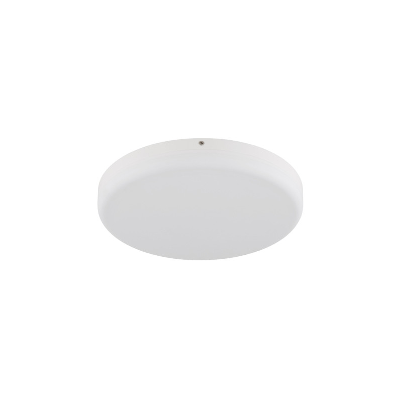 Globo 12387-24W