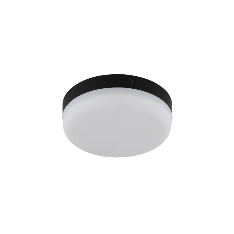 Globo 12387-8