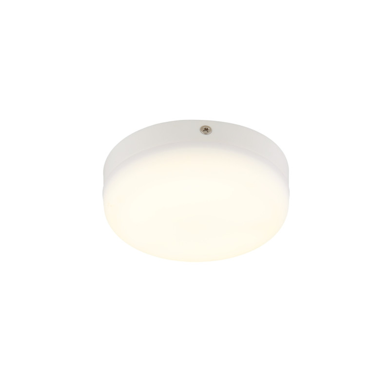 Globo 12387-8W