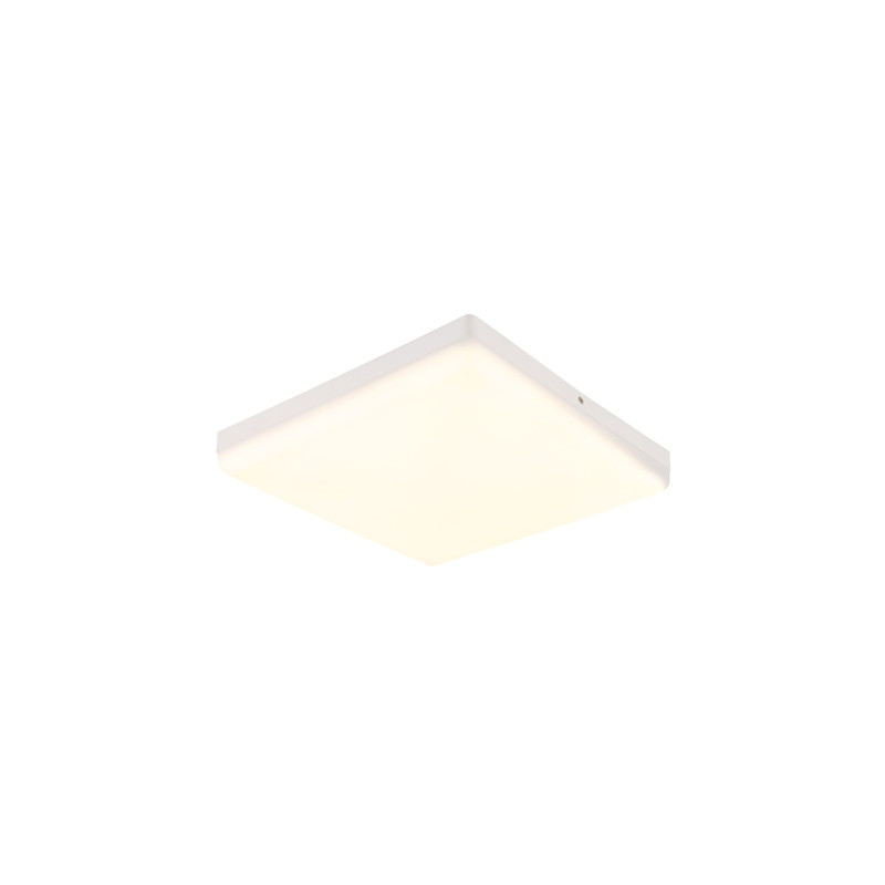 Globo 12388-24W