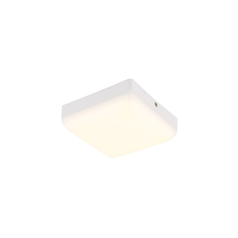 Globo 12388-8W