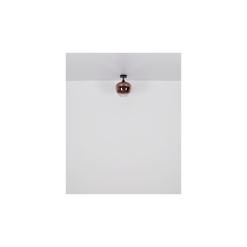 Globo 15548TG