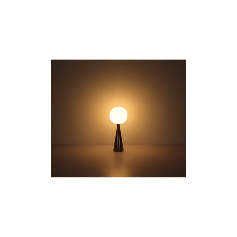 Globo 21031N
