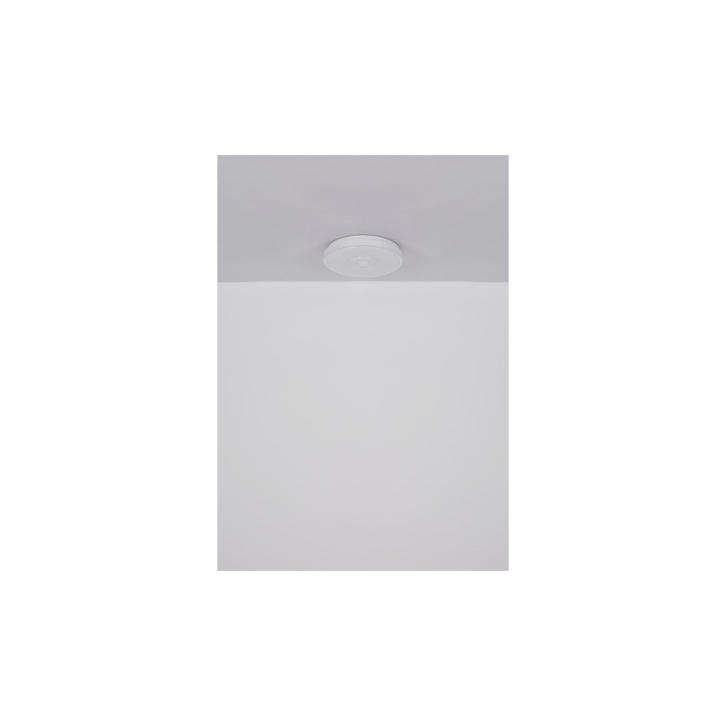 Globo 41264K