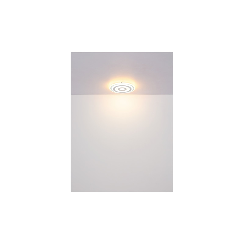 Globo 48554-20