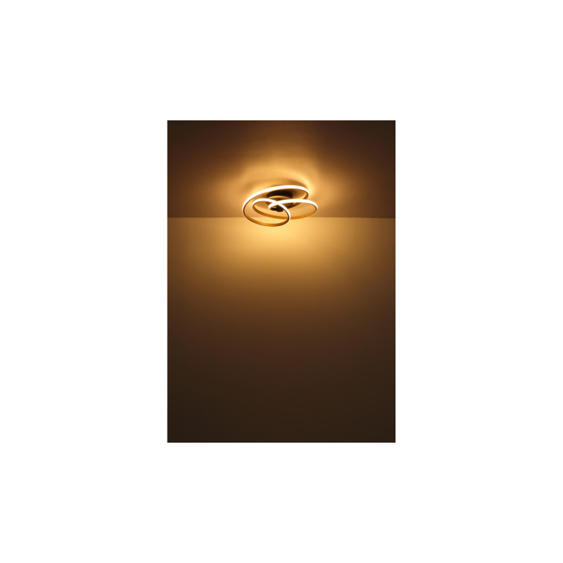 Globo 67183-40G