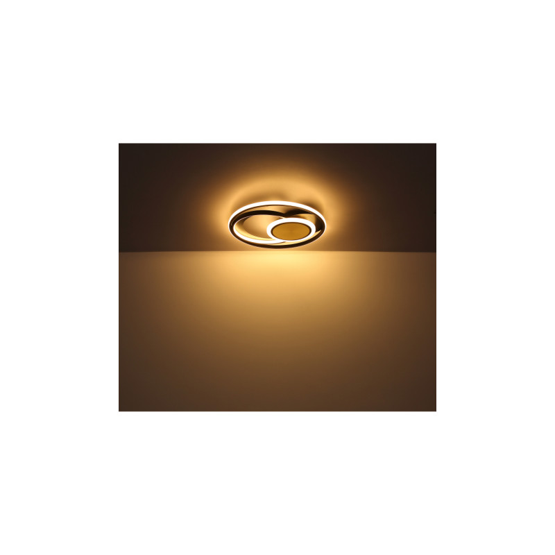 Globo 67322-24