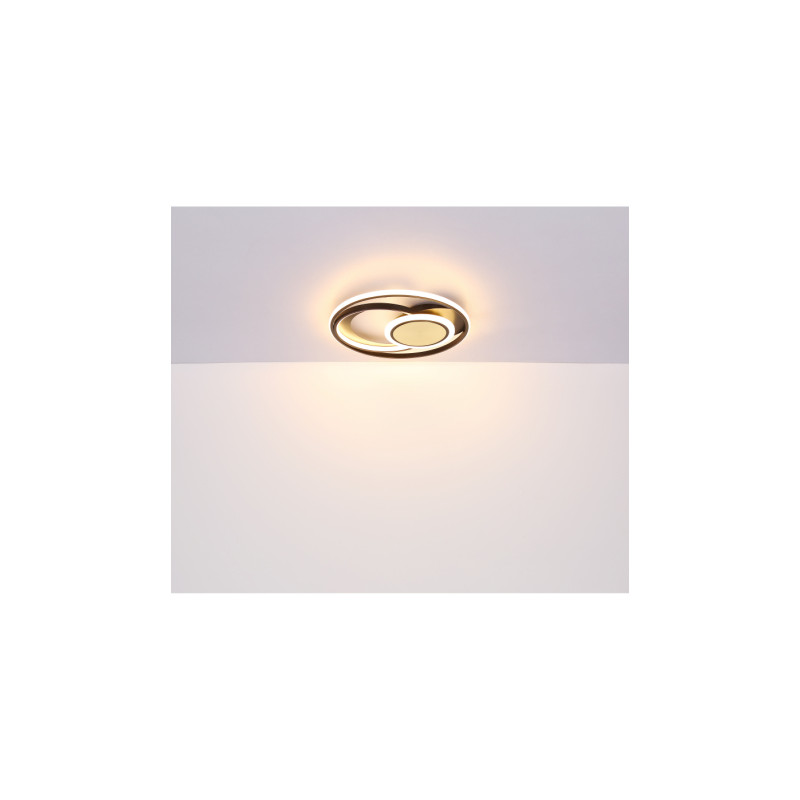Globo 67322-24