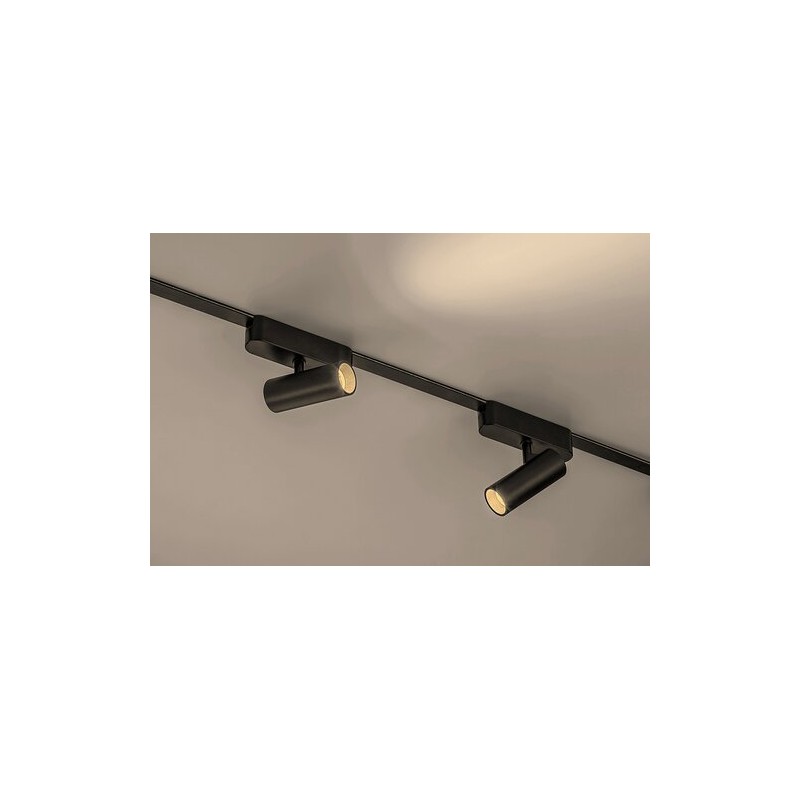 Rabalux LiTrack Spot01W 70103