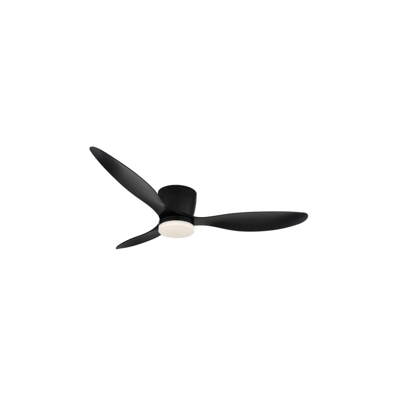 Globo 03666S