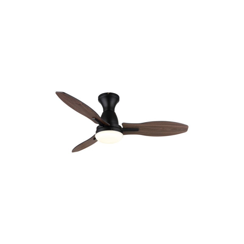 Globo 03671B