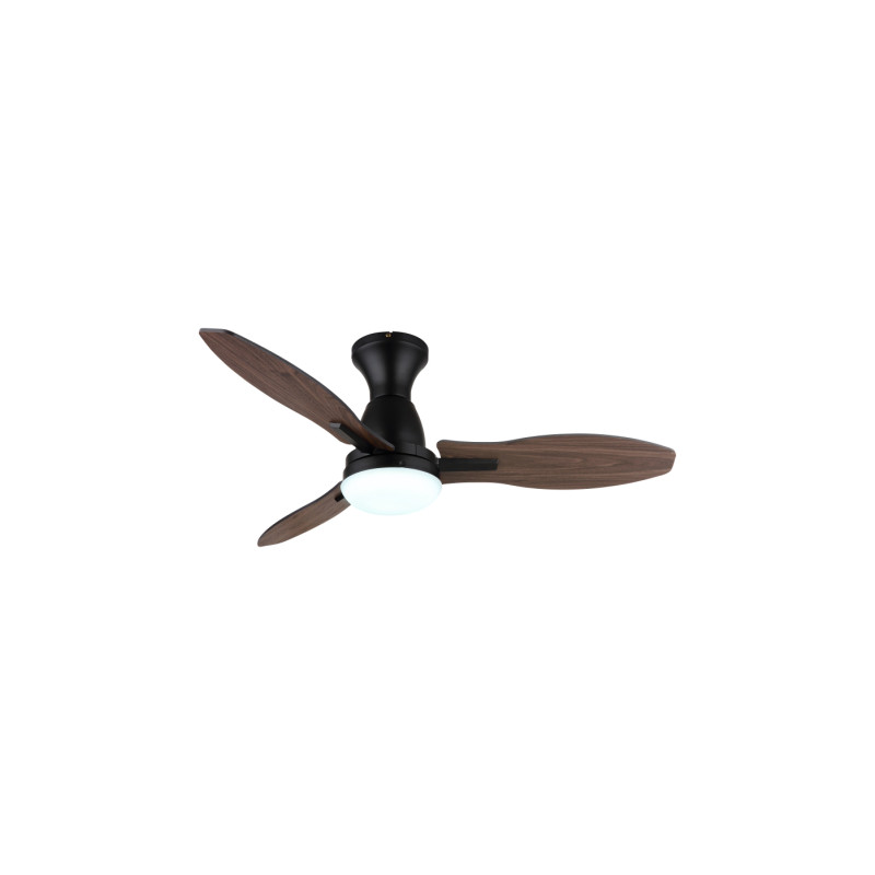 Globo 03671B