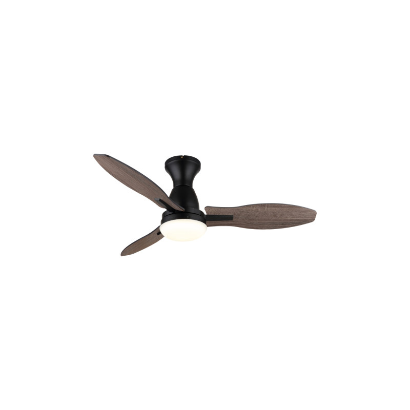 Globo 03671B