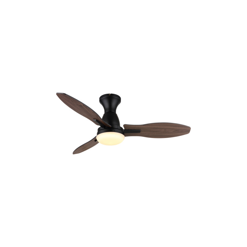 Globo 03671B