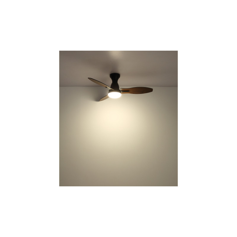 Globo 03671B