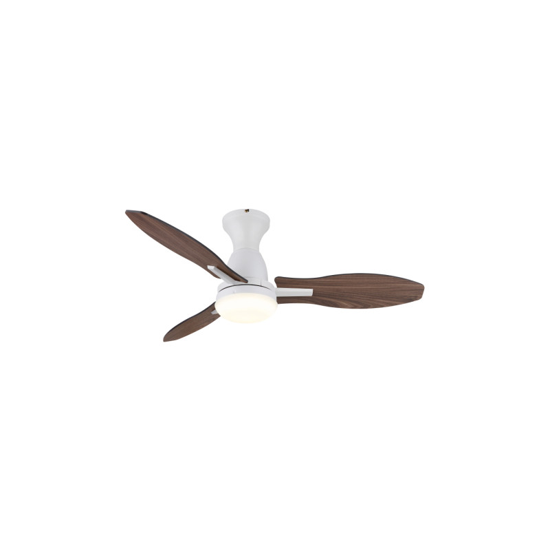 Globo 03671W