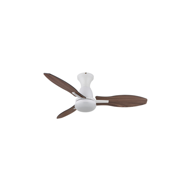 Globo 03671W