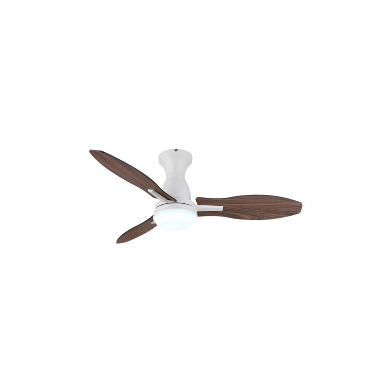 Globo 03671W