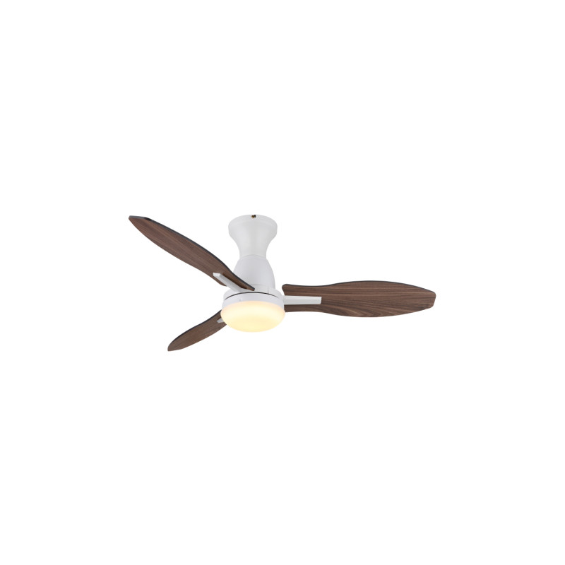 Globo 03671W