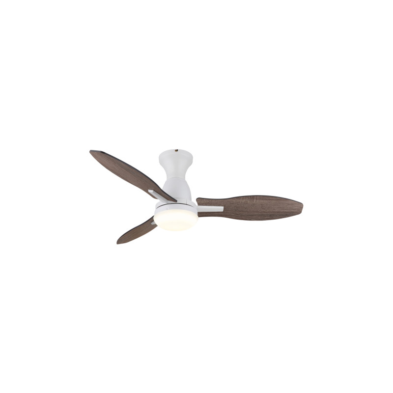 Globo 03671W
