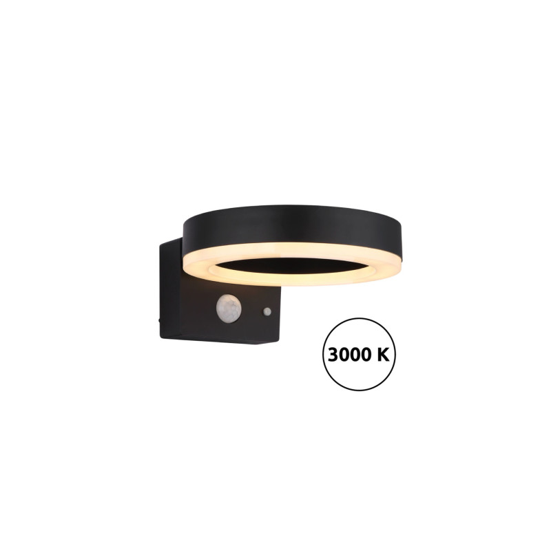 Globo 36507