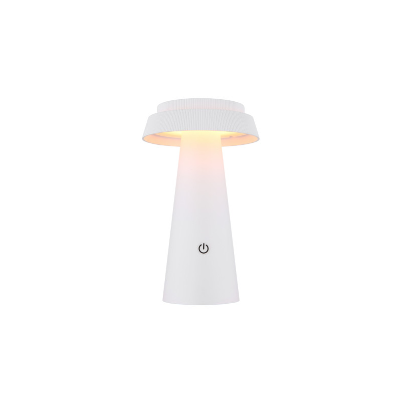 Globo 36624W