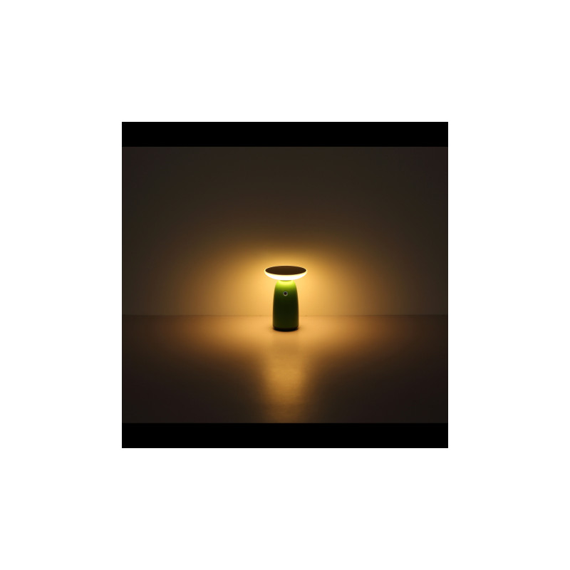 Globo 36625G