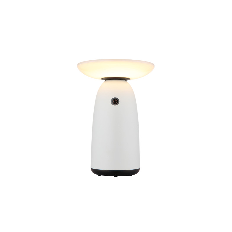 Globo 36625W