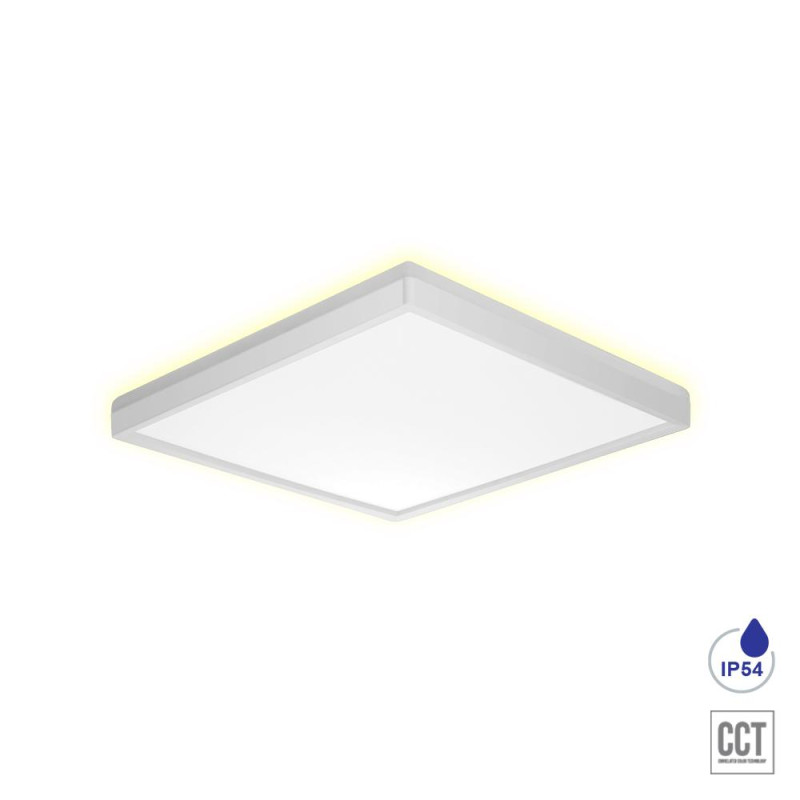 PREZENT CORDIA LED/12W,3000K-6000K,IP54,WHITE SQ