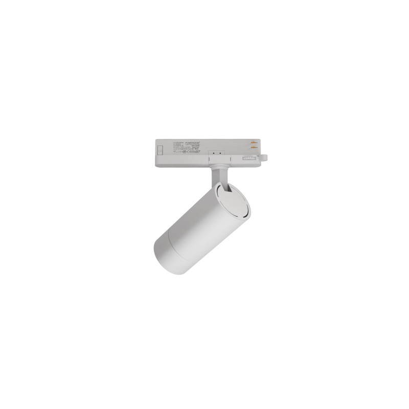 LED2 LEON II M, W DALI/PUSH 20W 3000K 6095431D