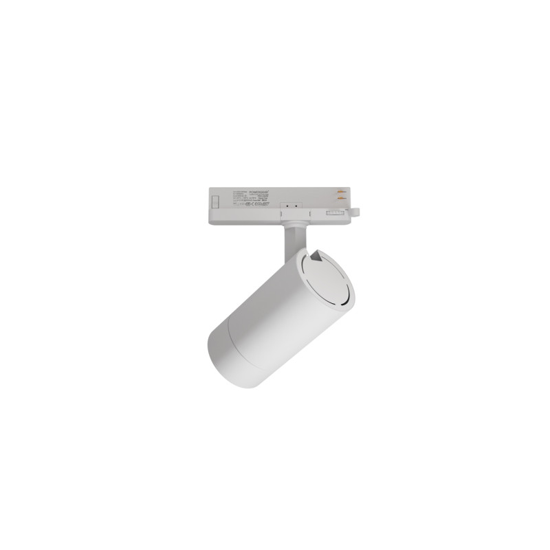 LED2 LEON II L, W DALI/PUSH 28W 4000K 6095541D