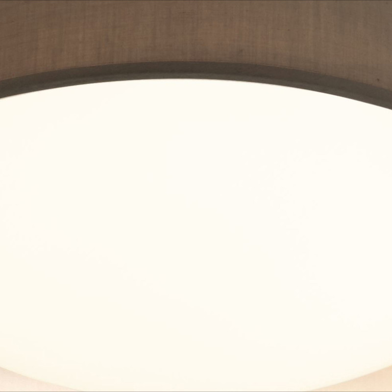 Searchlight stropné svietidlo prisadené Gianna 9371-50GY