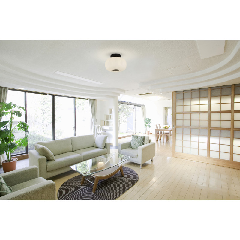 Searchlight 10271-1BK