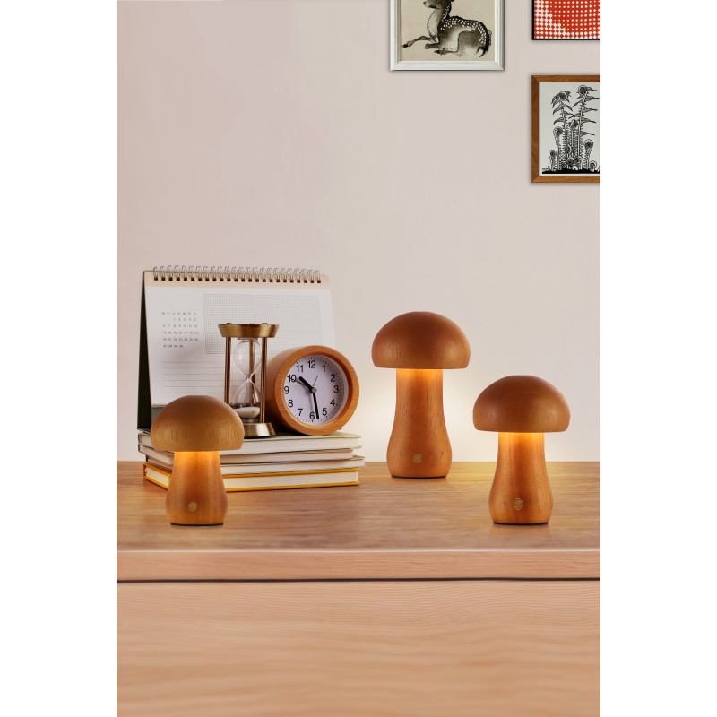 Searchlight EU34125NA