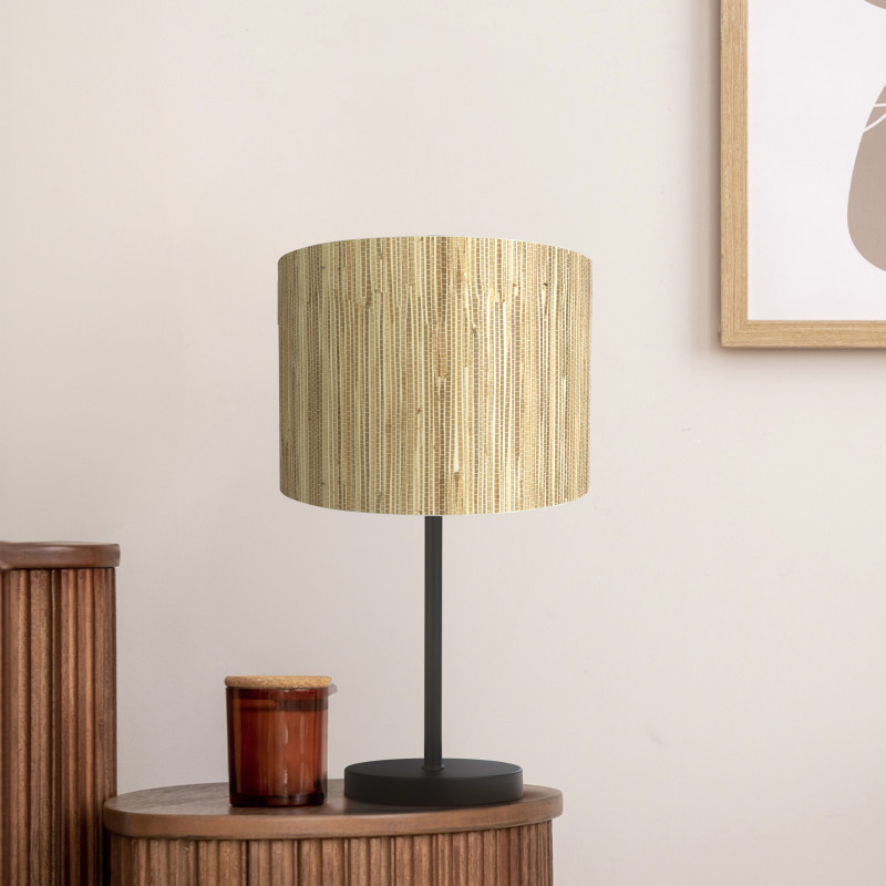 Searchlight EU49712BK