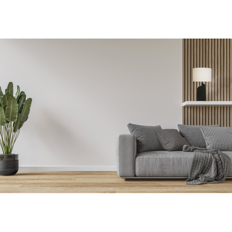 Searchlight EU61650BK