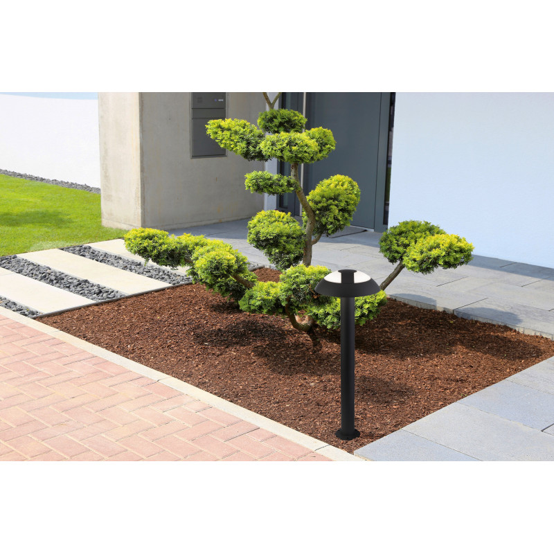 Searchlight 7264-730