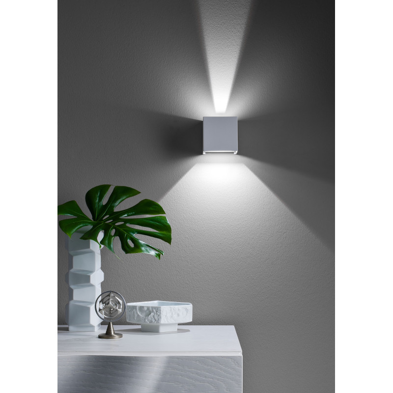 Redo AMPLITUDE 01-1229