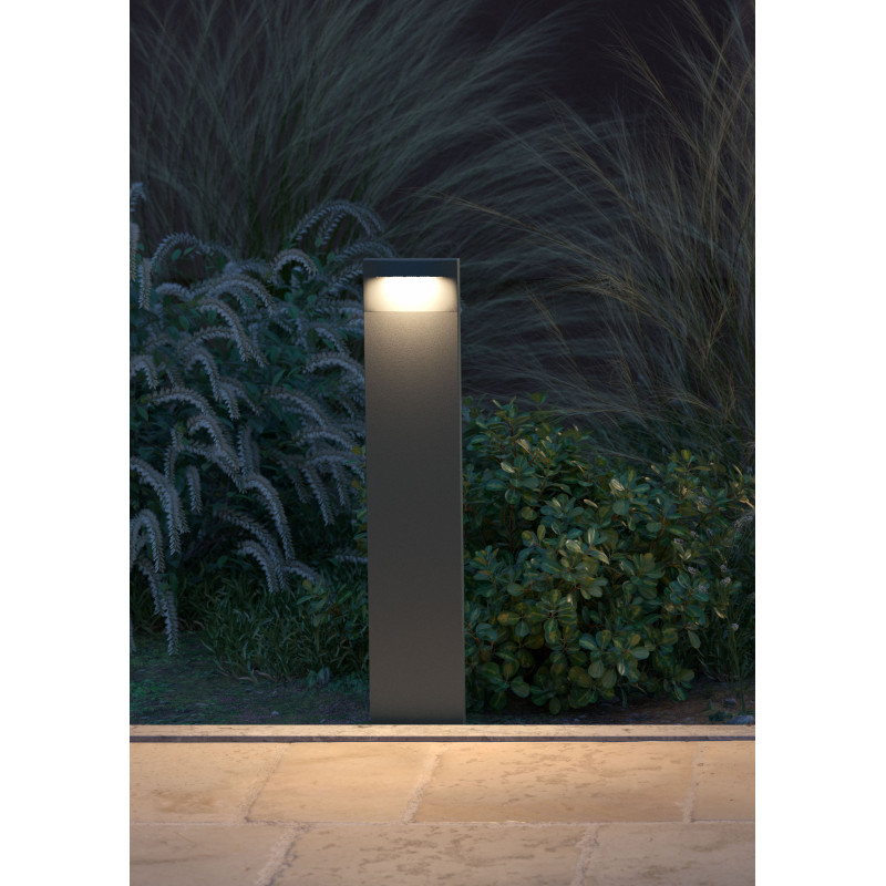 REDO POLIFEMO POLE 90428