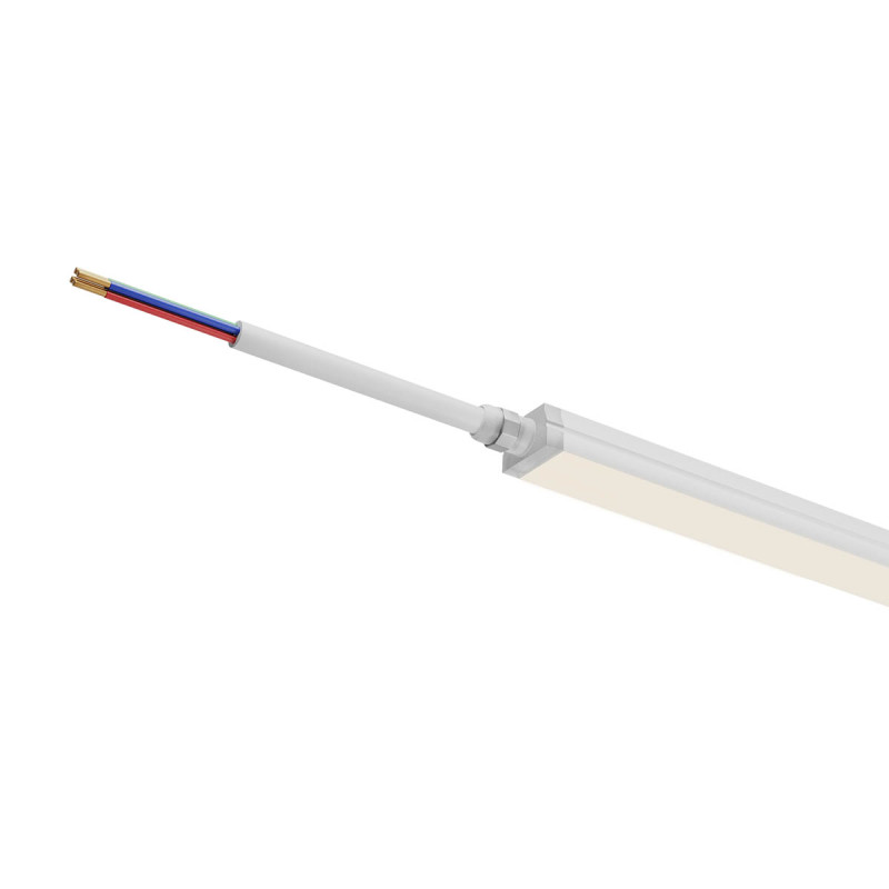 REDO XFORT FRT03WW OP