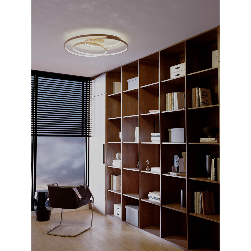 REDO CENTRIX 01-2974