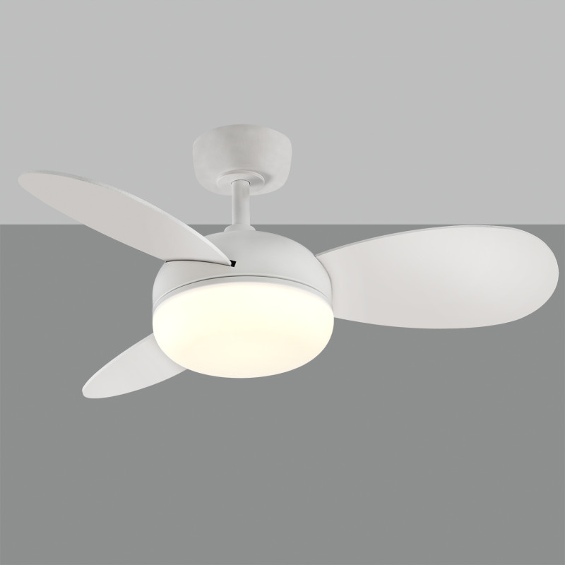 Bise Ceiling Fan 2521/36 White/Beech, LED 22W 2200lm + MOTOR DC 35W, CRI80 CL.I, Step dimmable Kelvin 3000-4000-6500, Remote con