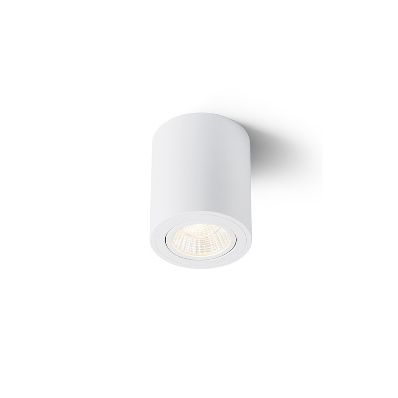 RENDL RENDL MAYO R stropní výklopná bílá 230V LED 9W 36° 2700K R10375