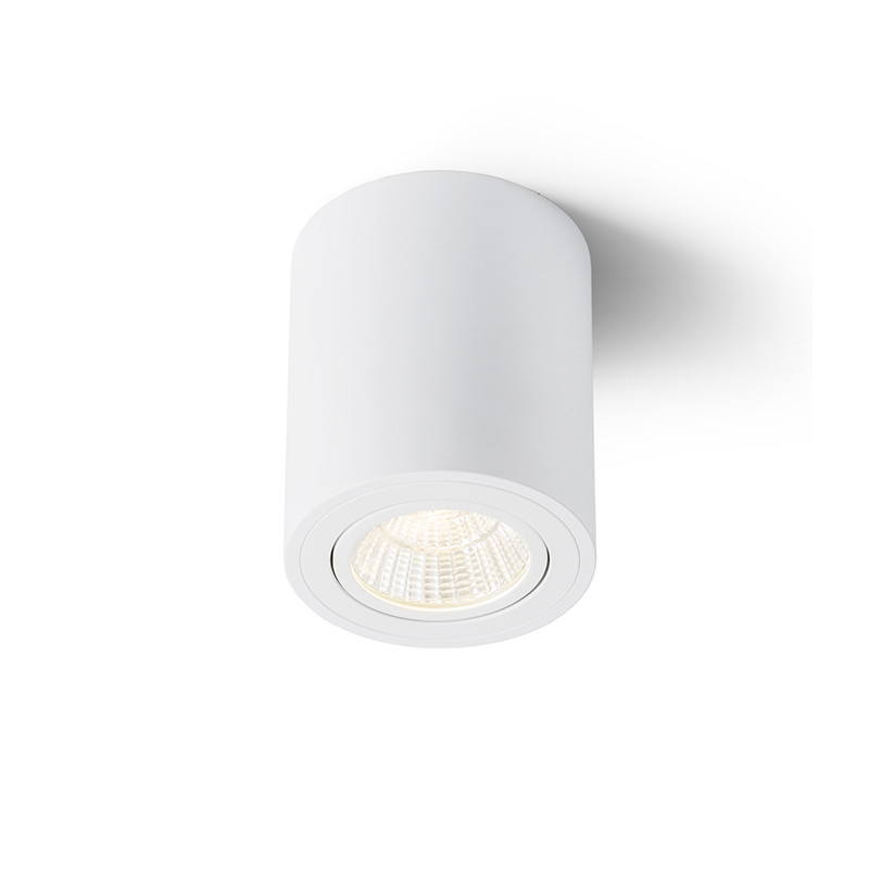 RENDL RENDL MAYO R stropní výklopná bílá 230V LED 9W 36° 2700K R10375