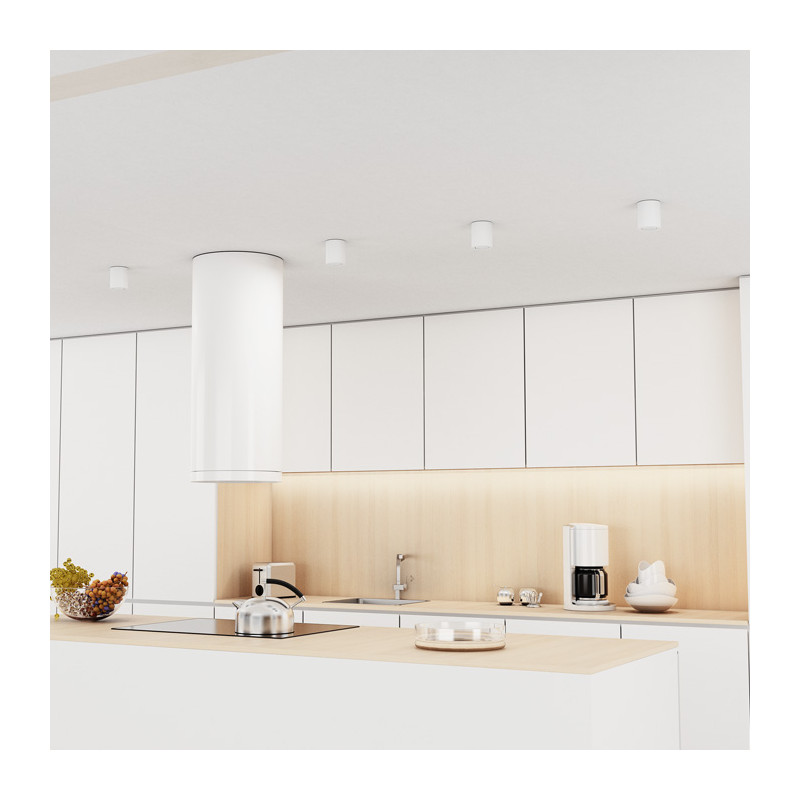 RENDL RENDL MAYO R stropní výklopná bílá 230V LED 9W 36° 2700K R10375