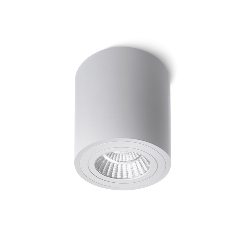 RENDL RENDL MAYO R stropní výklopná bílá 230V LED 9W 36° 2700K R10375