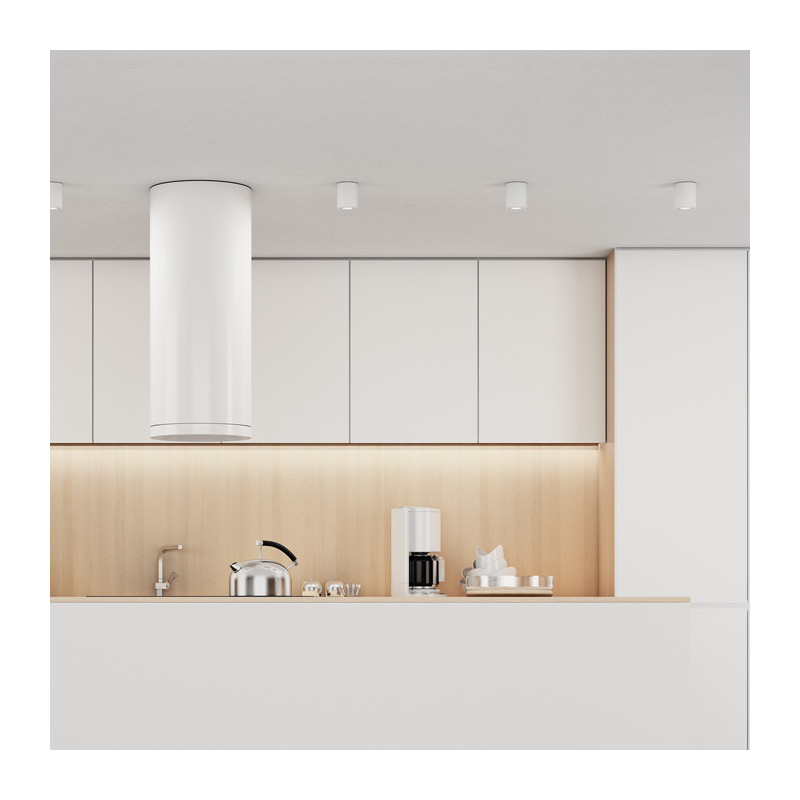 RENDL RENDL MAYO R stropní výklopná bílá 230V LED 9W 36° 2700K R10375
