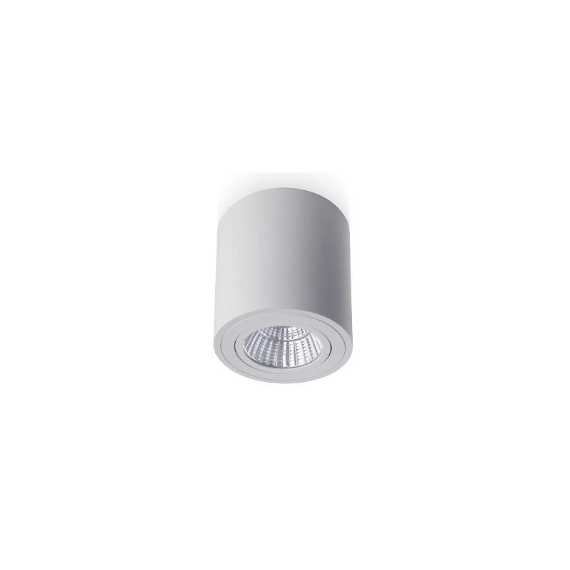 RENDL RENDL MAYO R stropní výklopná bílá 230V LED 9W 36° 2700K R10375
