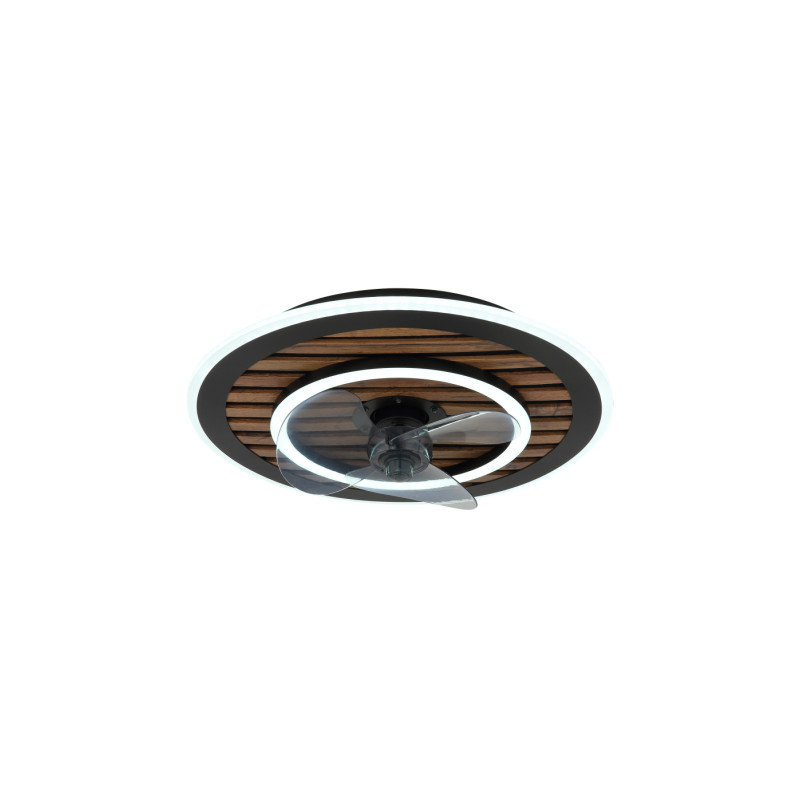 Globo 03668